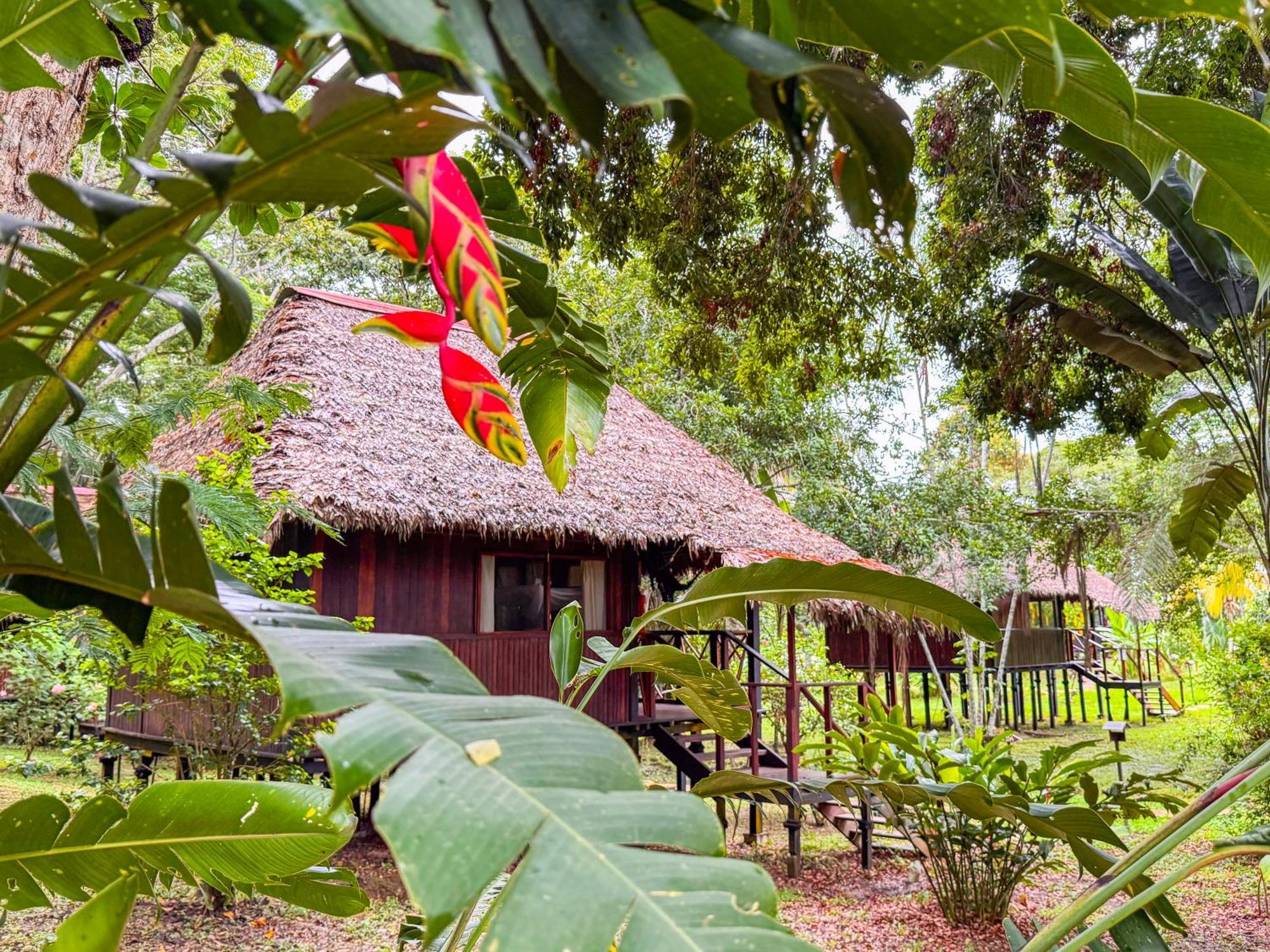 Corto Maltes Amazonia Lodge Puerto Maldonado Exterior foto