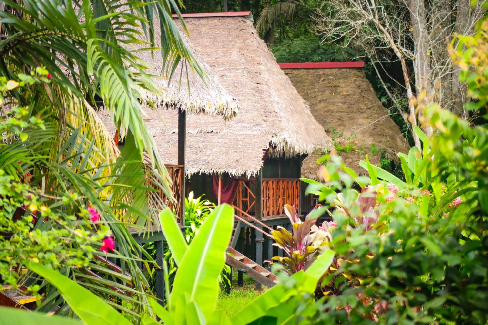 Corto Maltes Amazonia Lodge Puerto Maldonado Exterior foto