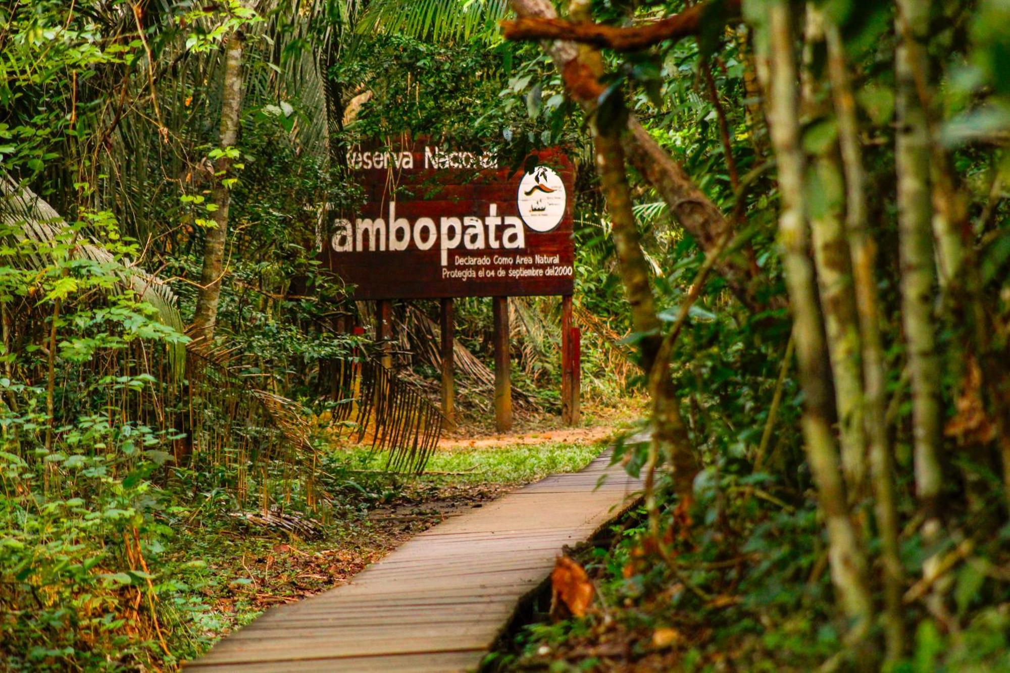 Corto Maltes Amazonia Lodge Puerto Maldonado Exterior foto