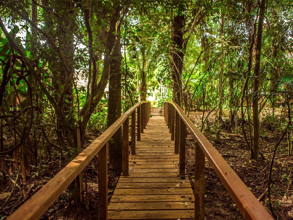 Corto Maltes Amazonia Lodge Puerto Maldonado Exterior foto